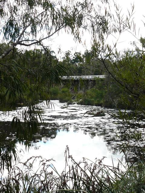 20080722 - Bream Fishing 9
